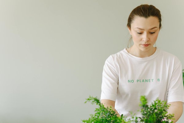 Assurance animaux utile ou non – le guide complet