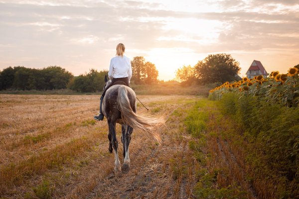Quelle animal est bienveillant ?